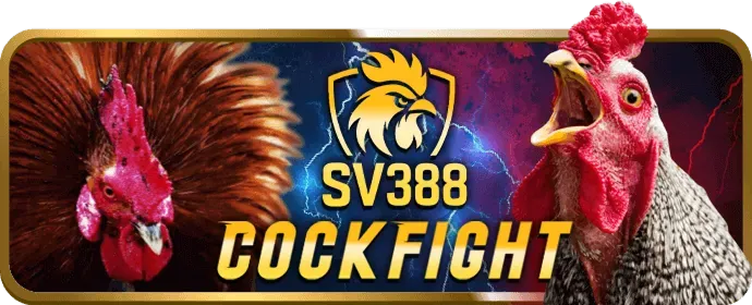 Lợi ích thành viên uuu88 2026